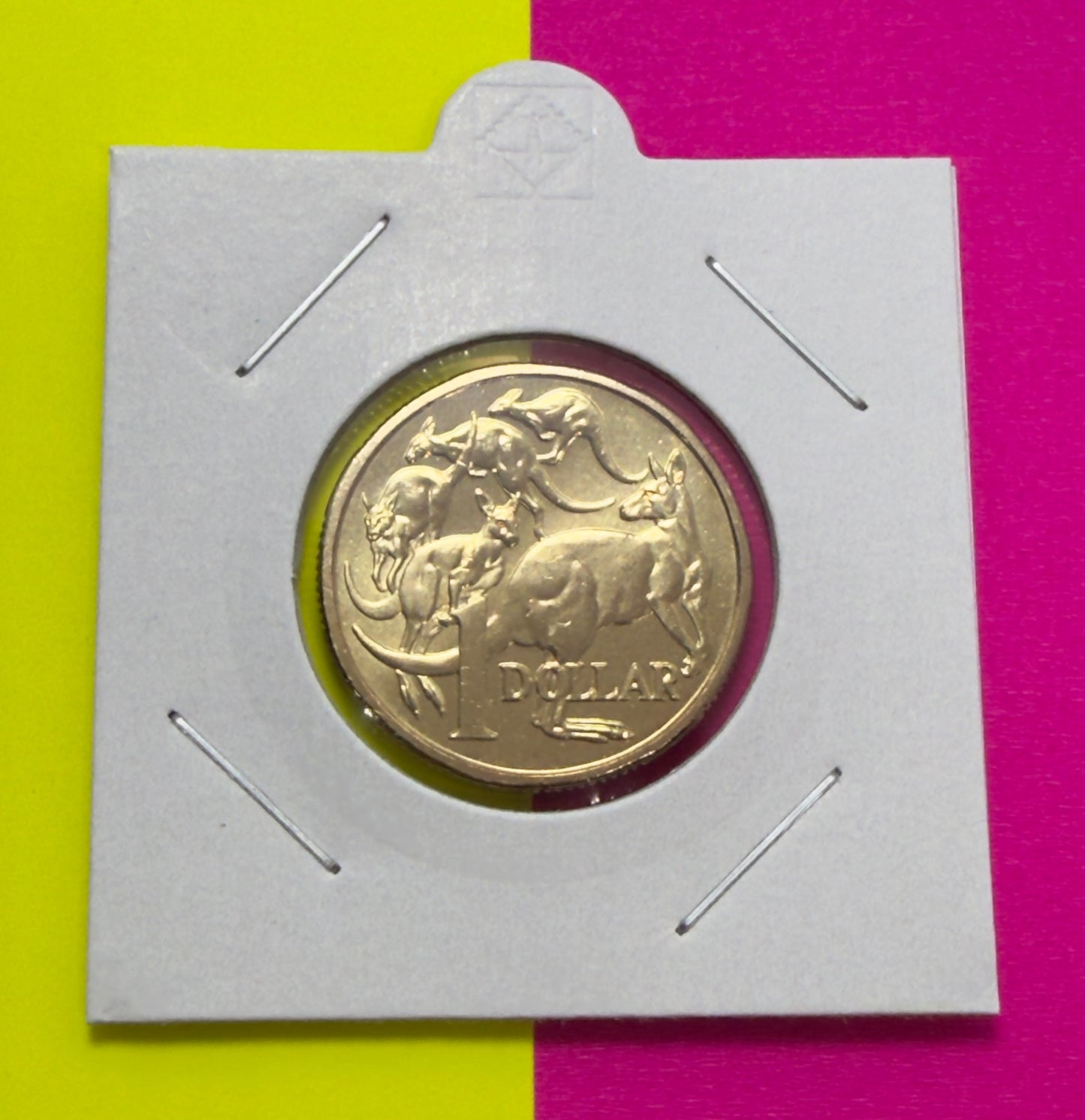 2016 $1 Coin - Uncirculated - Mob of Roos - One Dollar - Comes in 2x2