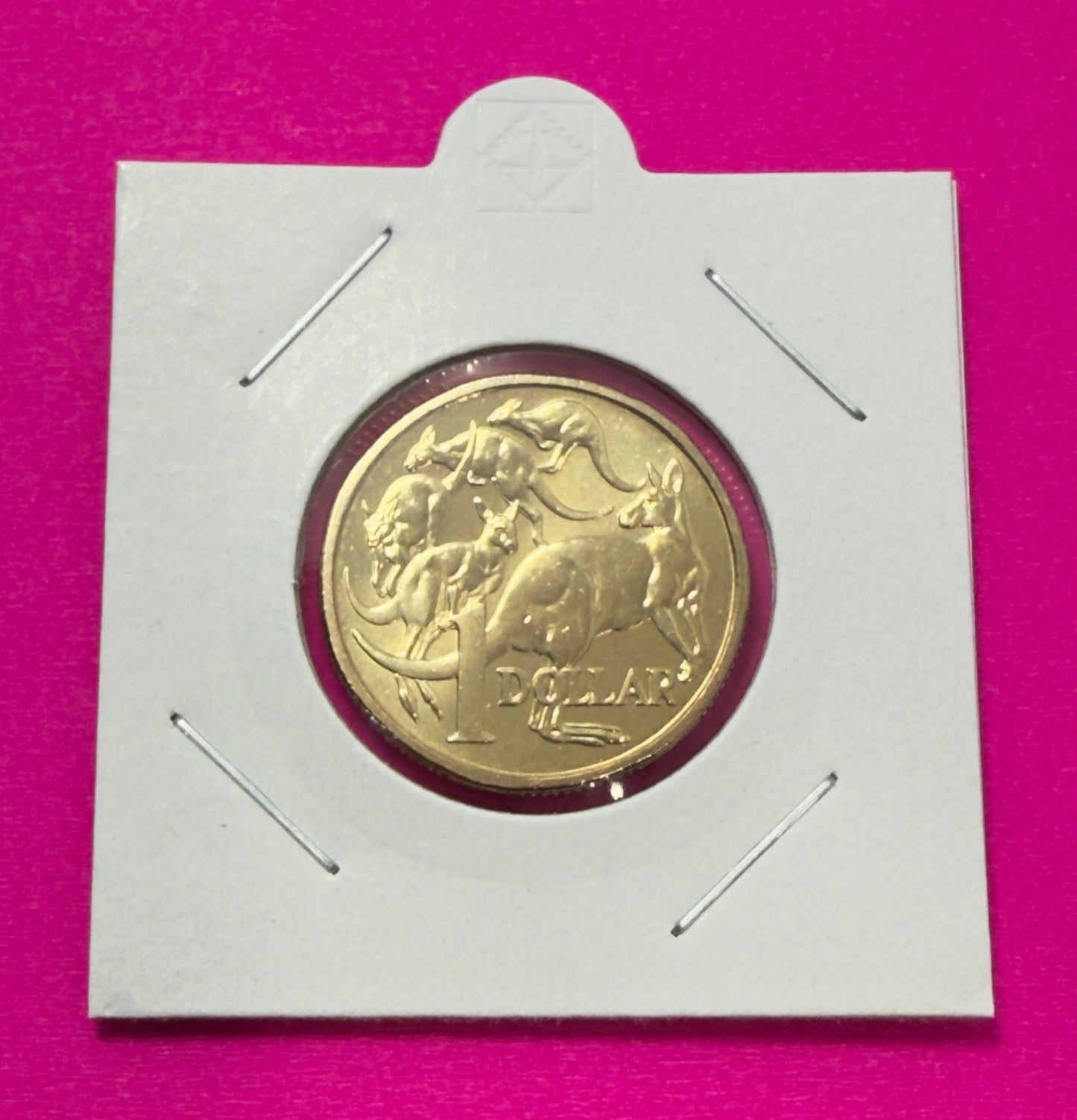 2016 $1 Coin - Uncirculated - Mob of Roos - One Dollar - Comes in 2x2