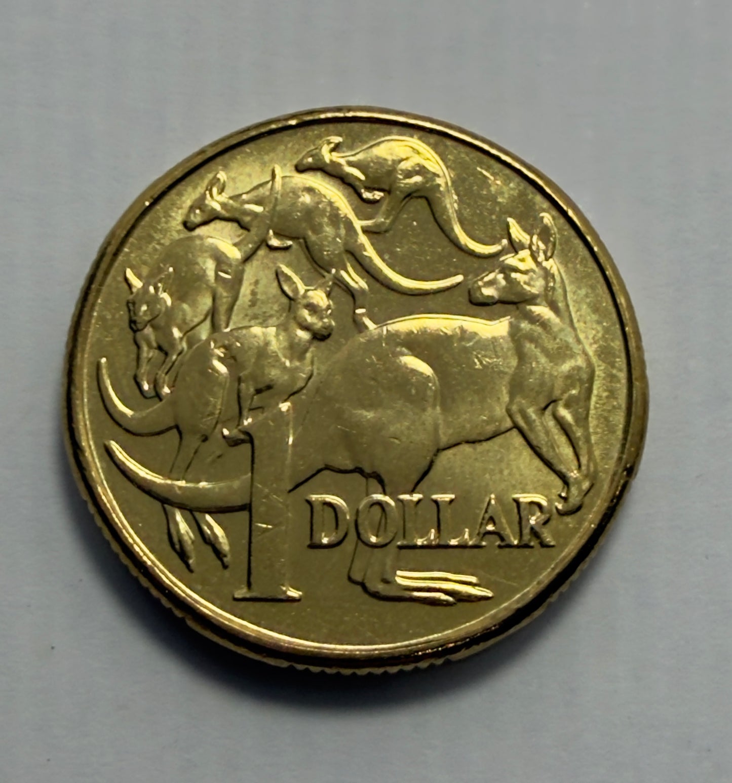 2011 $1 Coin - Mob of Roos - Uncirculated - One Dollar - comes in 2x2