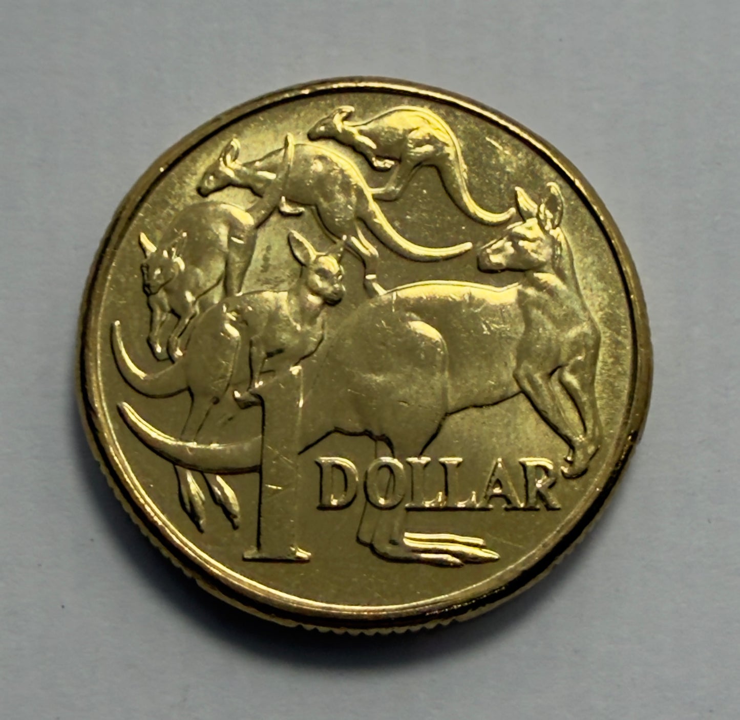 2011 $1 Coin - Mob of Roos - Uncirculated - One Dollar - comes in 2x2