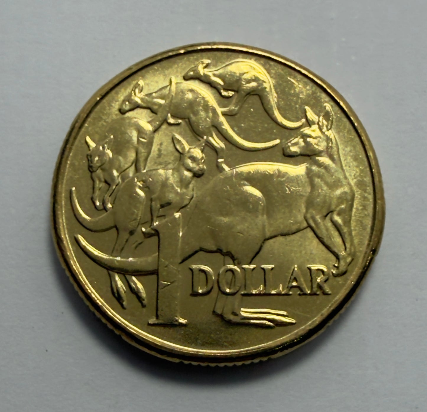 2011 $1 Coin - Mob of Roos - Uncirculated - One Dollar - comes in 2x2