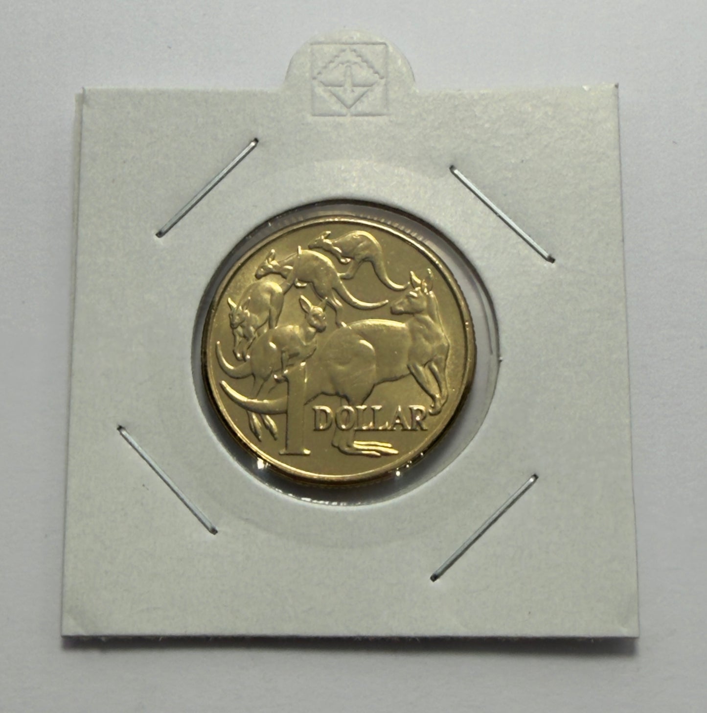 2011 $1 Coin - Mob of Roos - Uncirculated - One Dollar - comes in 2x2