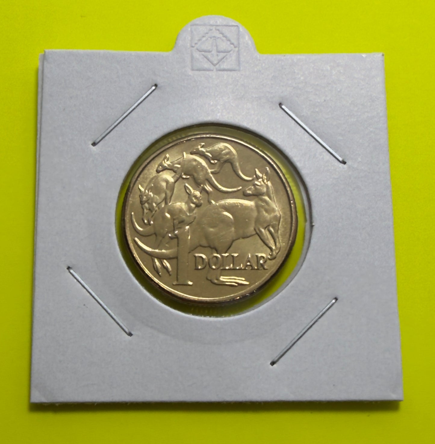 2011 $1 Coin - Mob of Roos - Uncirculated - One Dollar - comes in 2x2