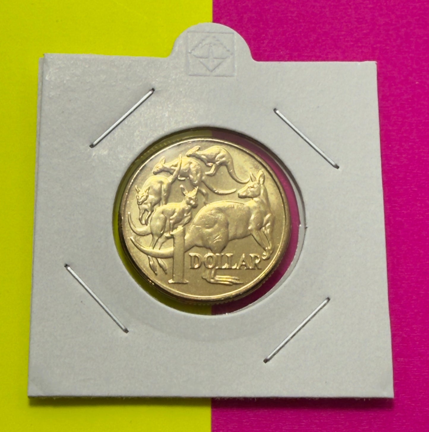 2011 $1 Coin - Mob of Roos - Uncirculated - One Dollar - comes in 2x2