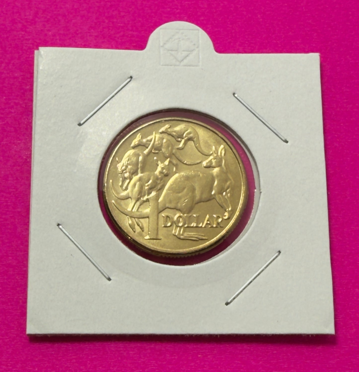 2011 $1 Coin - Mob of Roos - Uncirculated - One Dollar - comes in 2x2