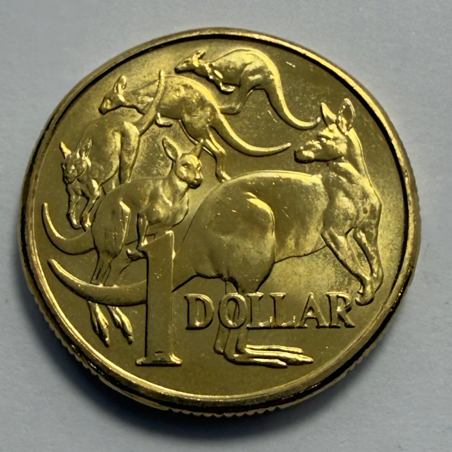 2016 Changeover $1 UNCIRCULATED from RAM roll SCARCE Low Mintage 561K