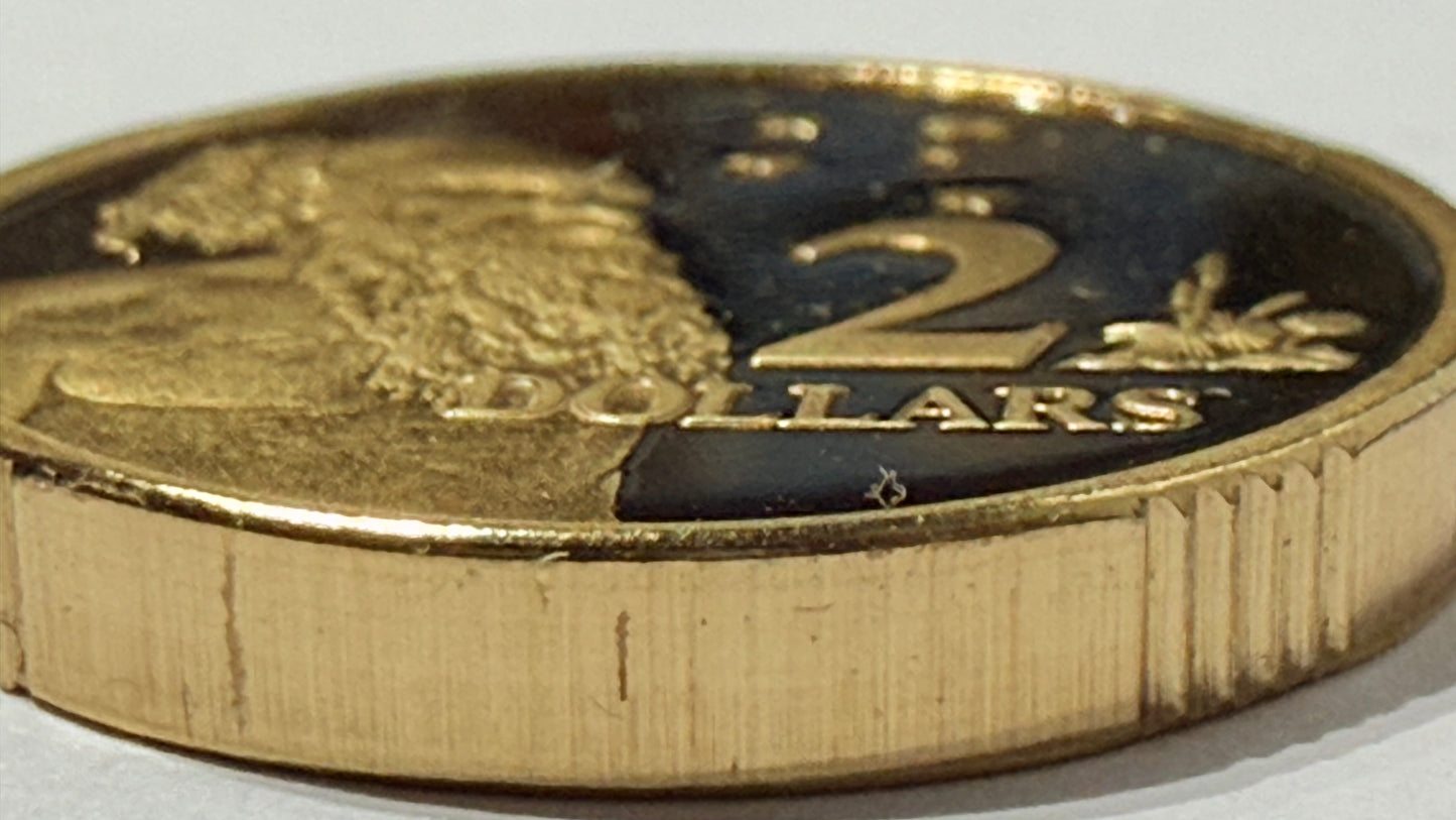 1995 $2 Proof Coin - Aboriginal Elder Two Dollar Proof Coin - comes in 2x2