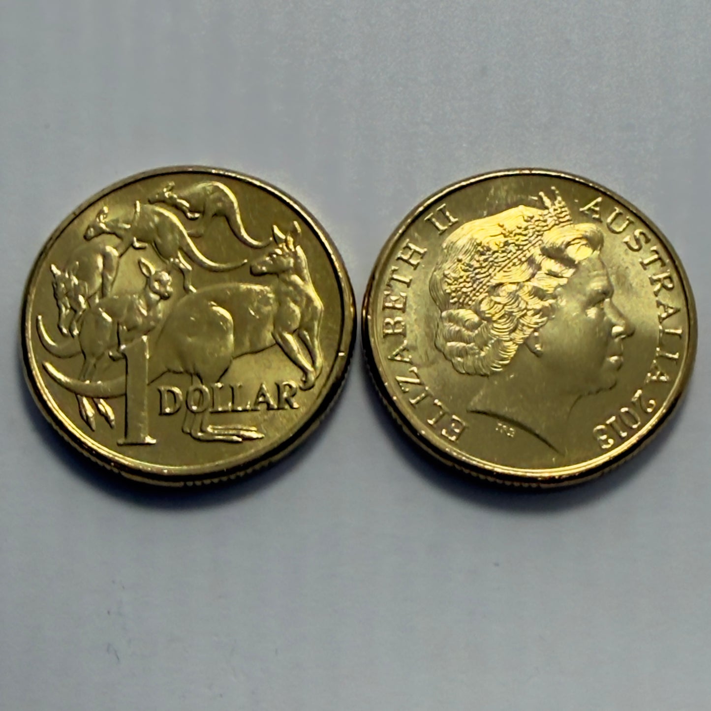 2013 $1 Coin - Uncirculated - Mob Of Roos - comes in 2x2