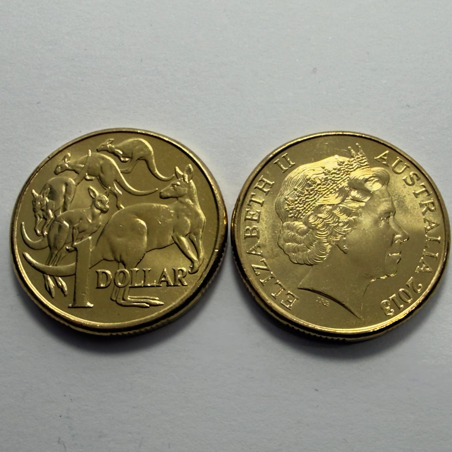 2013 $1 Coin - Uncirculated - Mob Of Roos - comes in 2x2