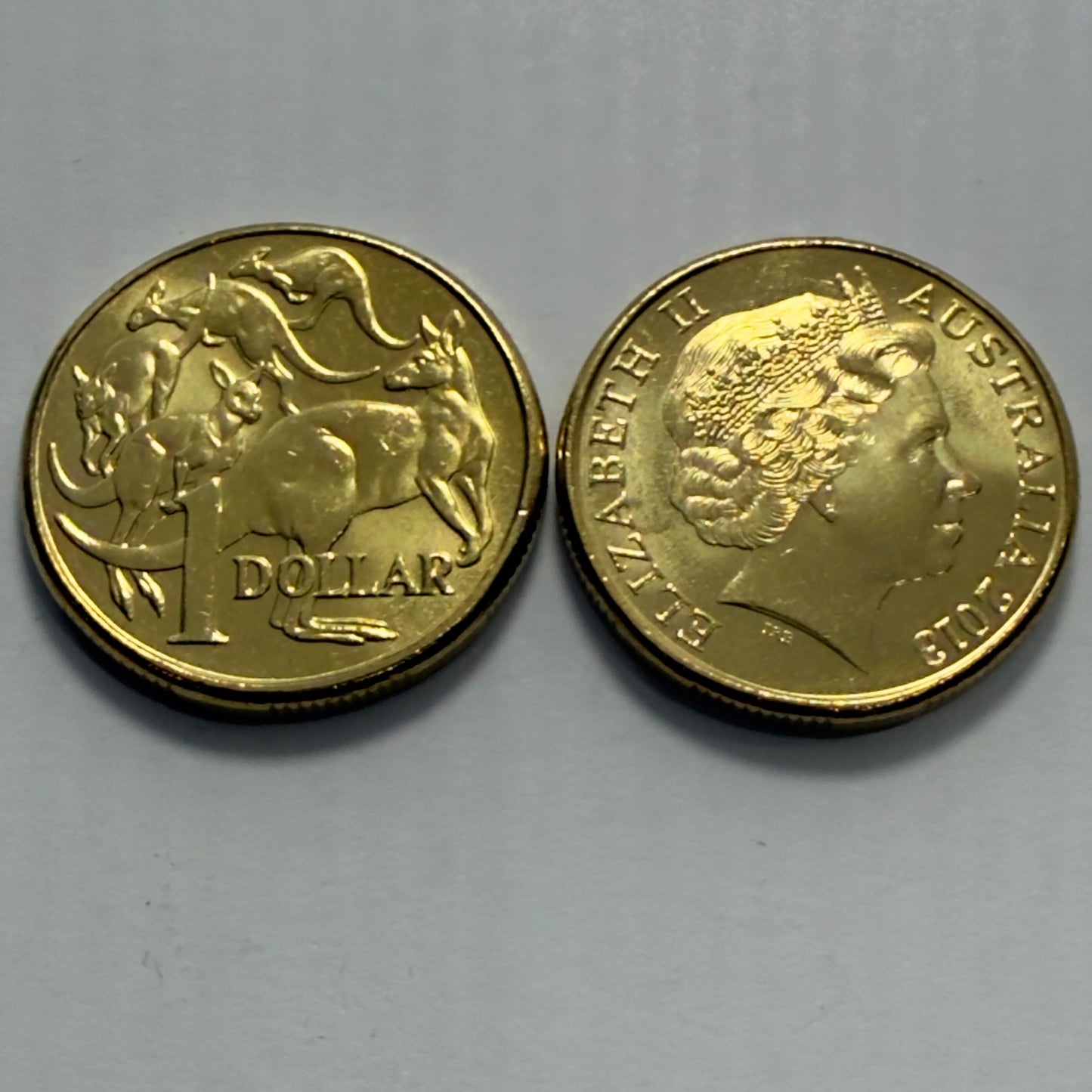 2013 $1 Coin - Uncirculated - Mob Of Roos - comes in 2x2