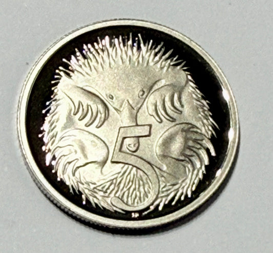 1995 5 Cent Proof Coin - Five Cent Echidna - comes in 2x2