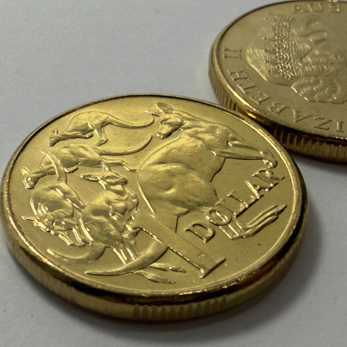 2013 $1 Coin - Uncirculated - Mob Of Roos - comes in 2x2