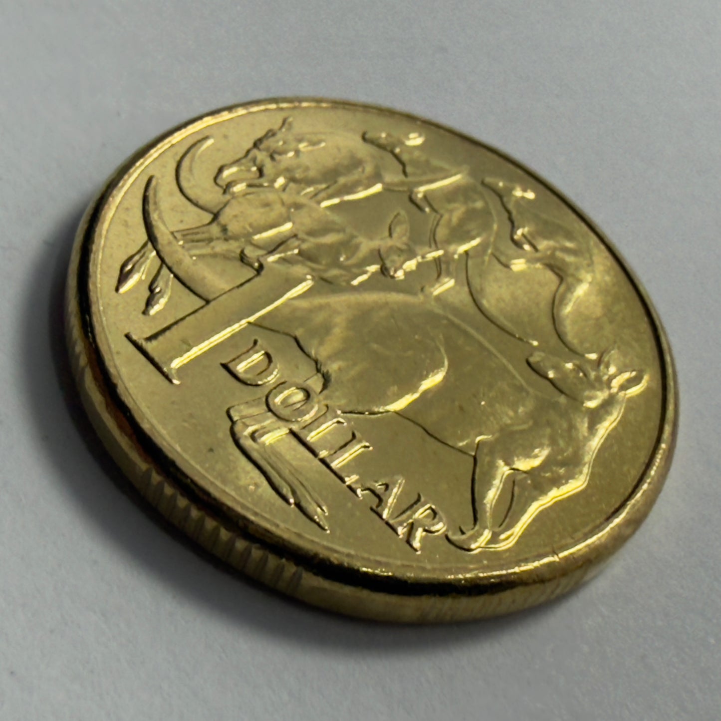 2013 $1 Coin - Uncirculated - Mob Of Roos - comes in 2x2