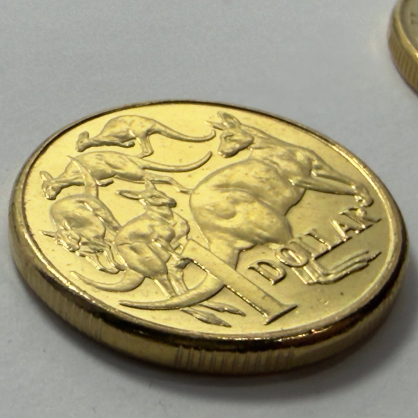 2013 $1 Coin - Uncirculated - Mob Of Roos - comes in 2x2