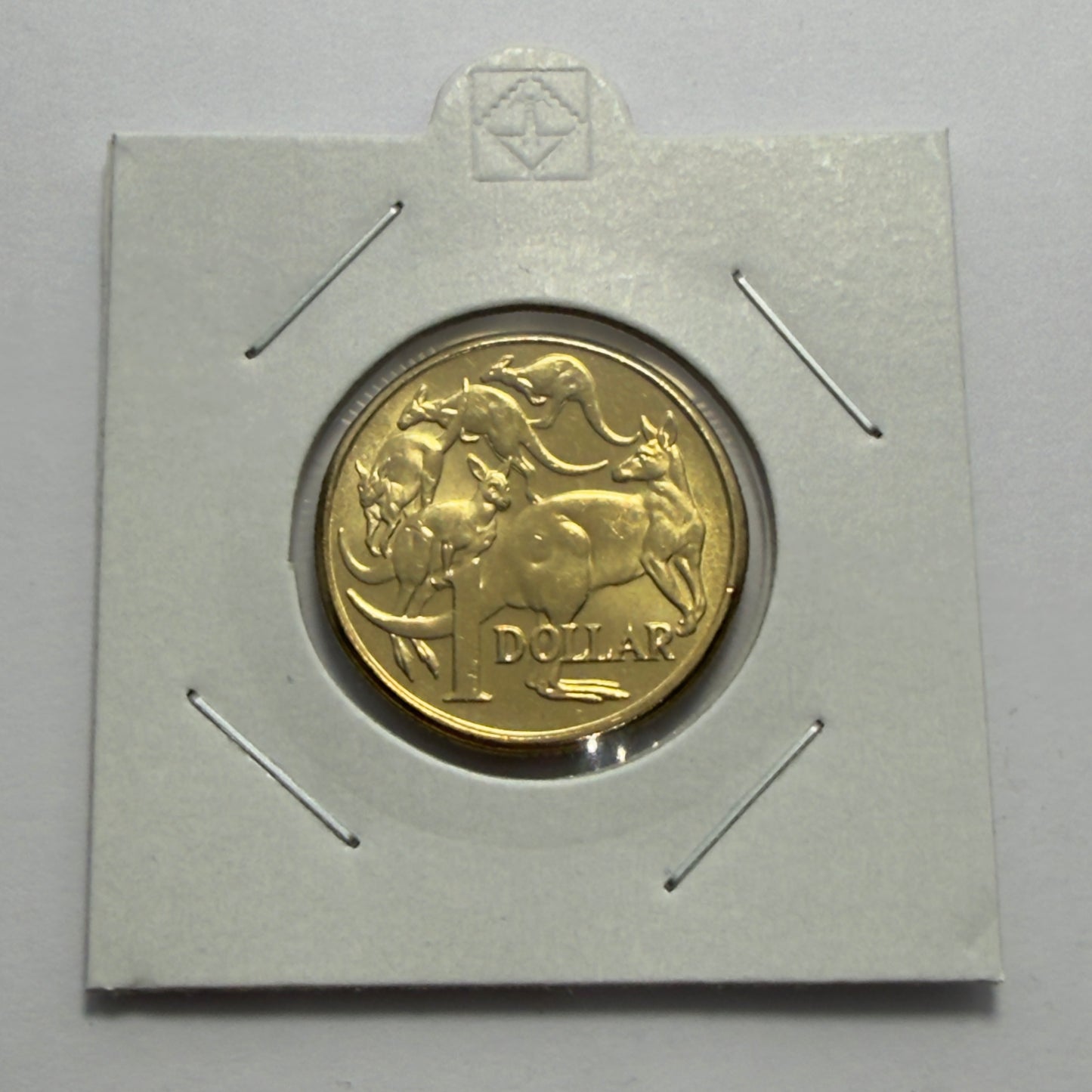 2013 $1 Coin - Uncirculated - Mob Of Roos - comes in 2x2