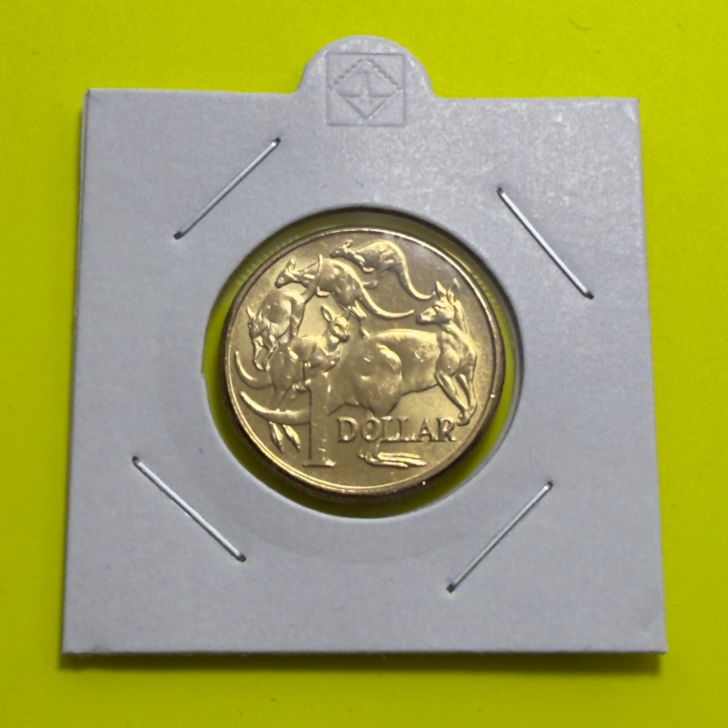 2013 $1 Coin - Uncirculated - Mob Of Roos - comes in 2x2