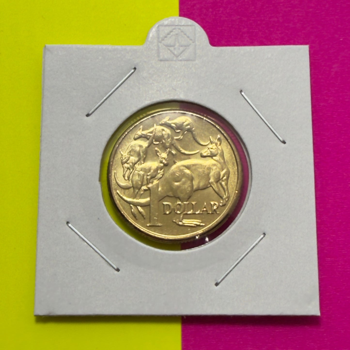 2013 $1 Coin - Uncirculated - Mob Of Roos - comes in 2x2