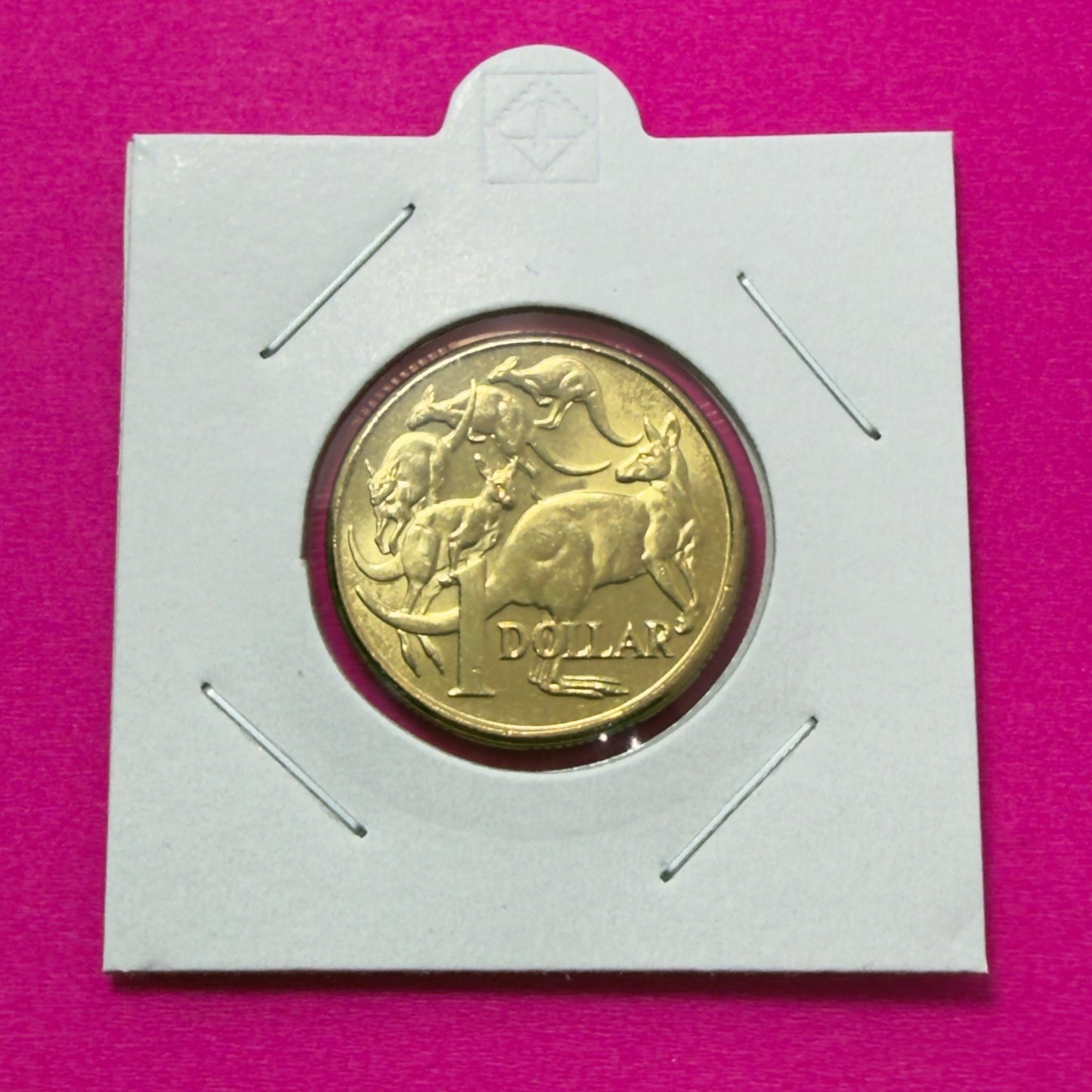 2013 $1 Coin - Uncirculated - Mob Of Roos - comes in 2x2