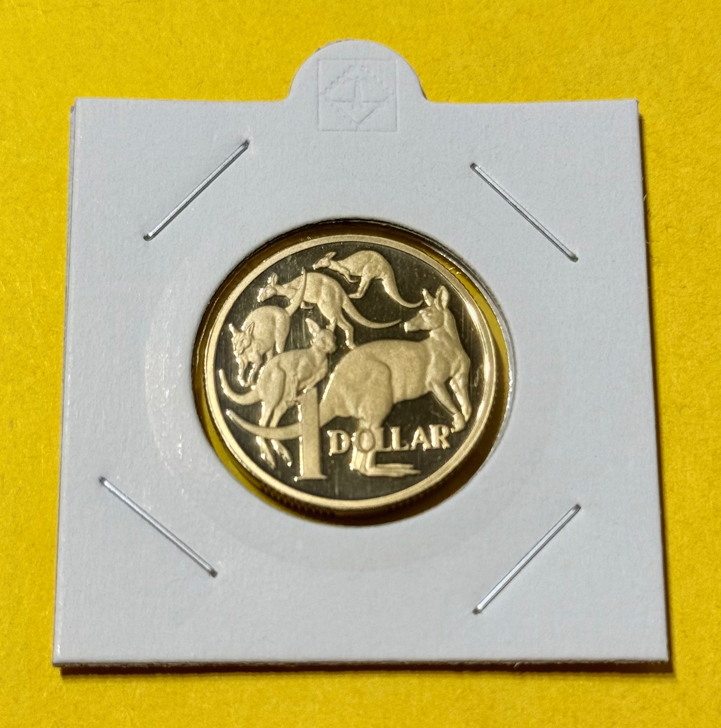 2000 $1 Proof Coin - Mob of Roos - One Dollar - comes in 2x2