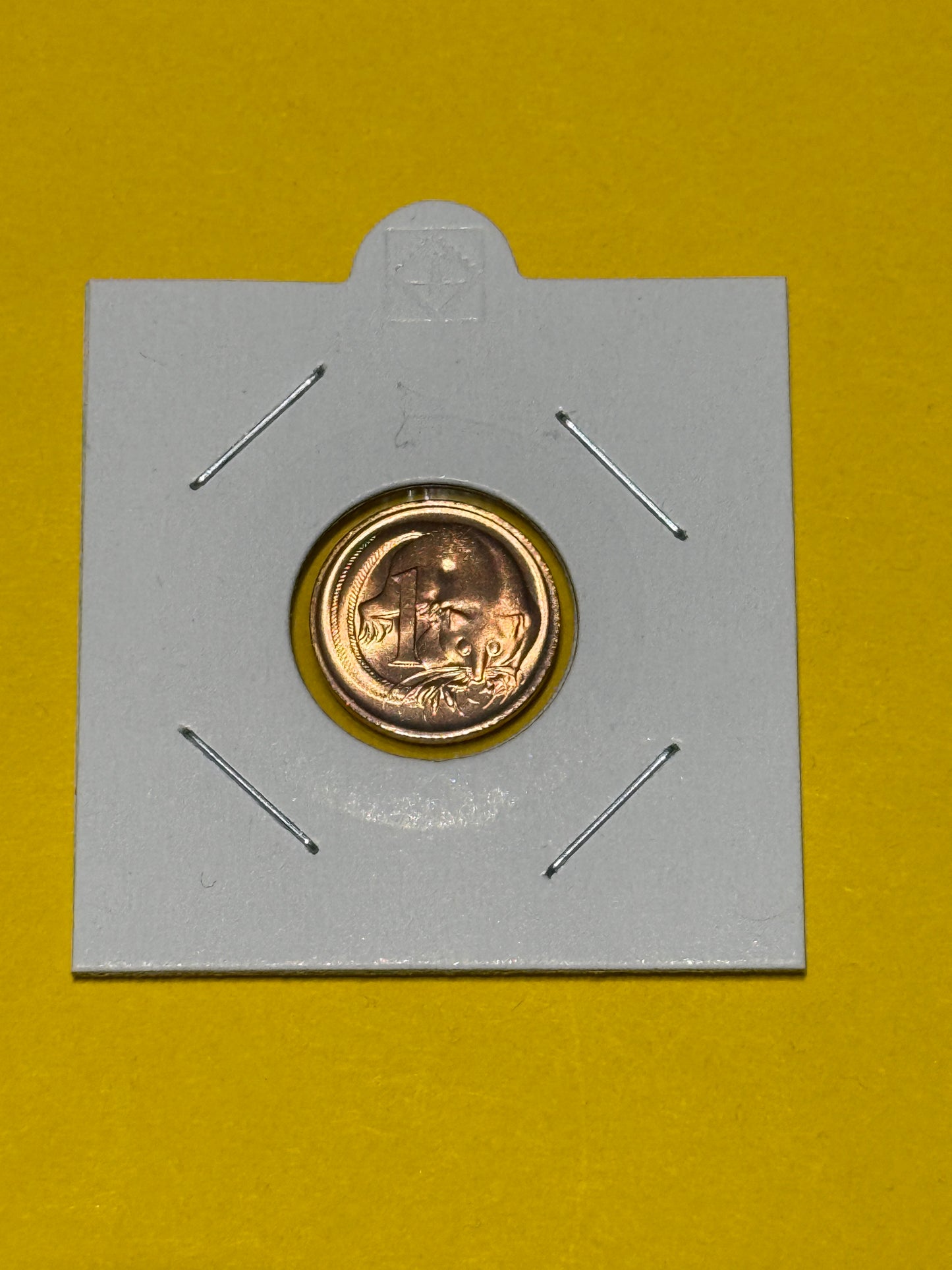 1977 1 Cent Coin - Uncirculated - One Cent Coin - comes in 2x2 - New Age Numismatics