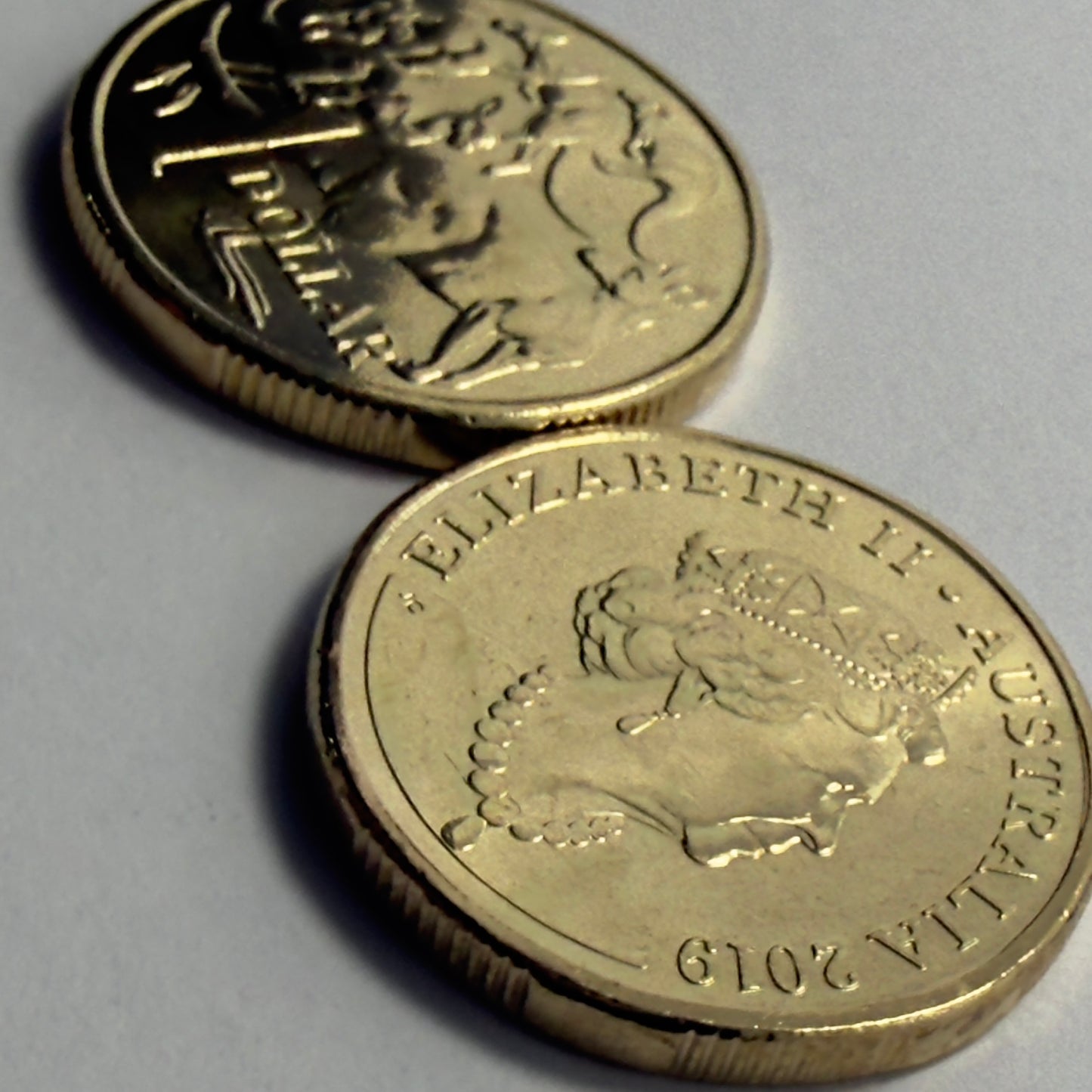 2019 $1 Coin - JC Effigy - Uncirculated - Mob of Roos - One Dollar - in 2x2