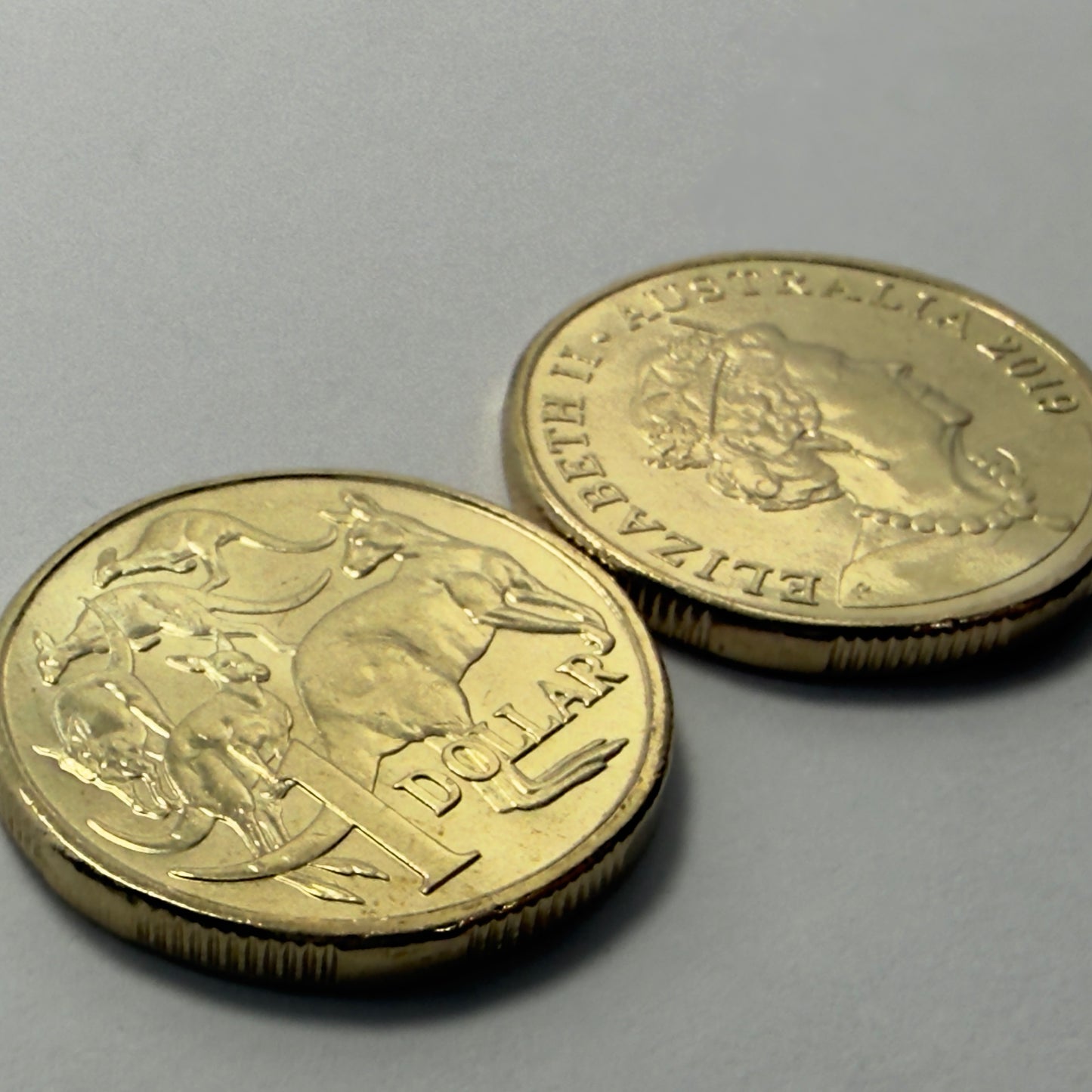 2019 $1 Coin - JC Effigy - Uncirculated - Mob of Roos - One Dollar - in 2x2