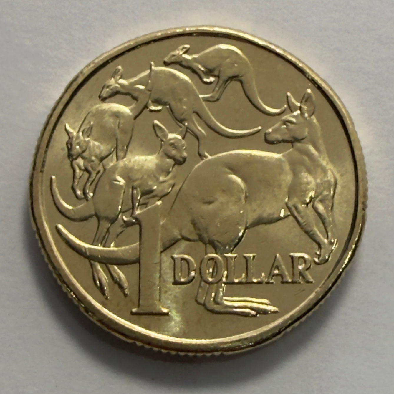 2019 $1 Coin - JC Effigy - Uncirculated - Mob of Roos - One Dollar - in 2x2