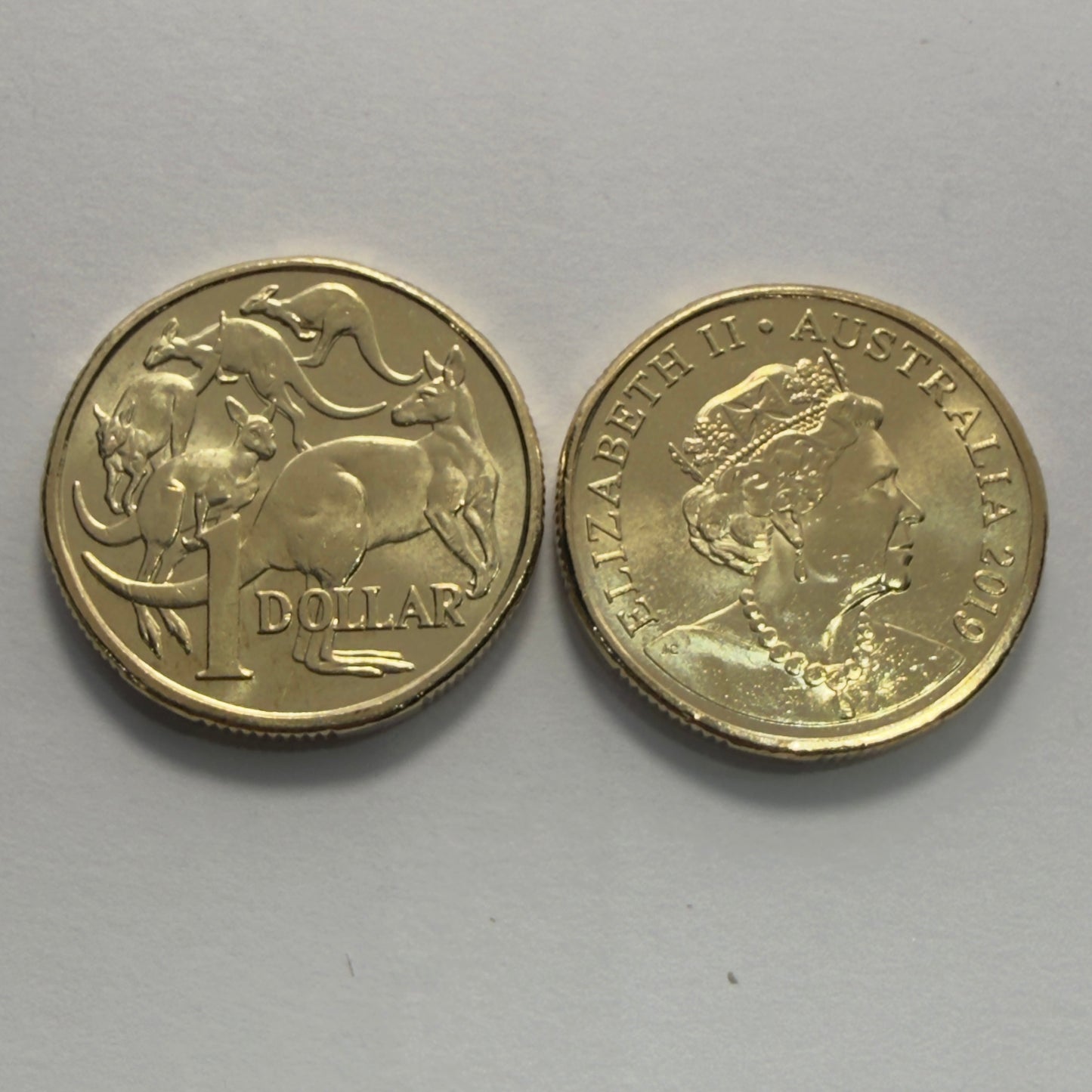 2019 $1 Coin - JC Effigy - Uncirculated - Mob of Roos - One Dollar - in 2x2