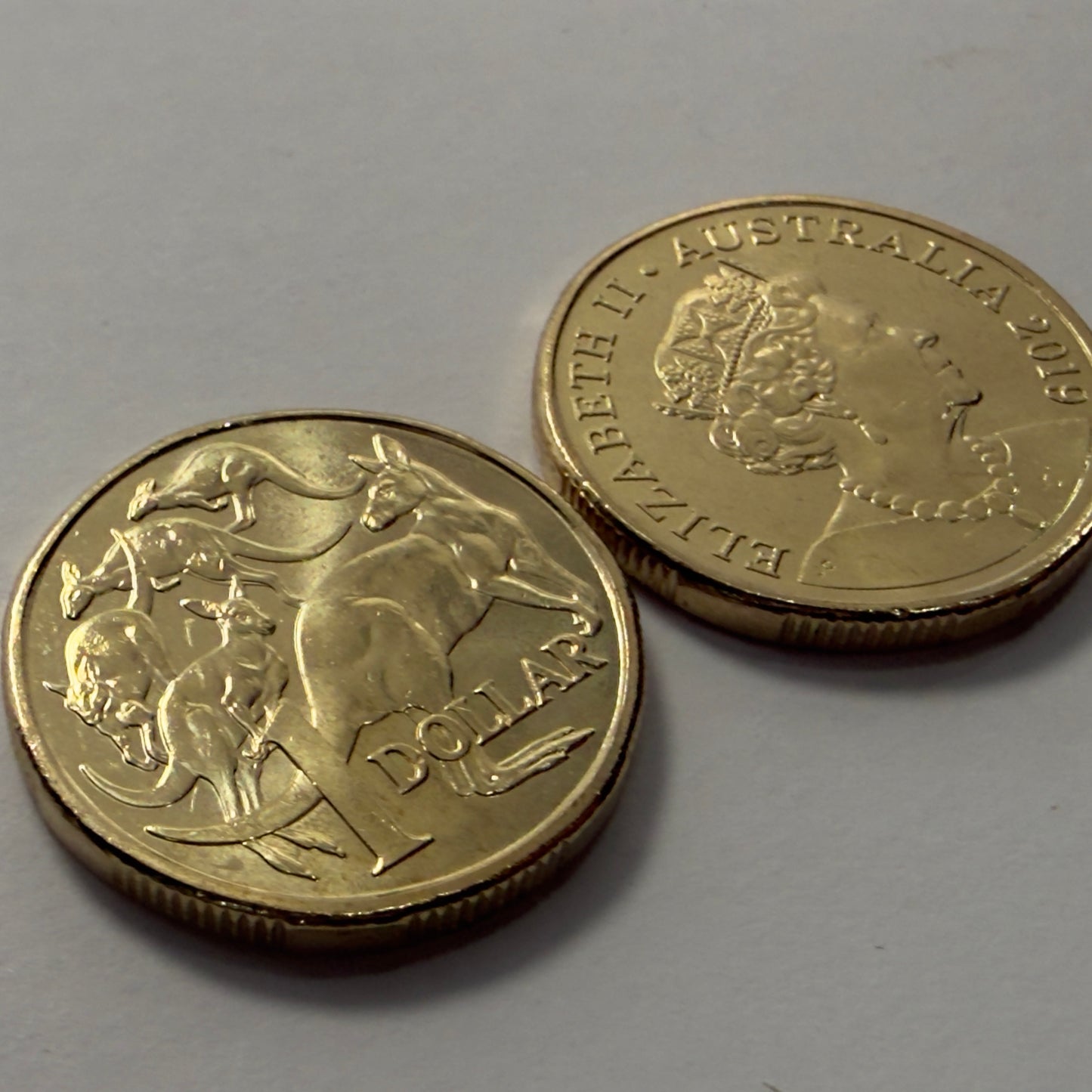 2019 $1 Coin - JC Effigy - Uncirculated - Mob of Roos - One Dollar - in 2x2