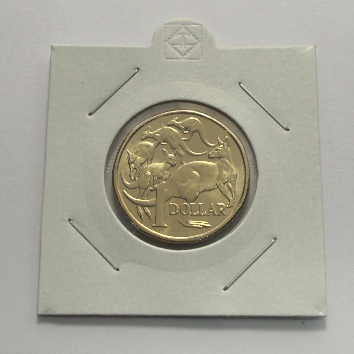 2019 $1 Coin - JC Effigy - Uncirculated - Mob of Roos - One Dollar - in 2x2