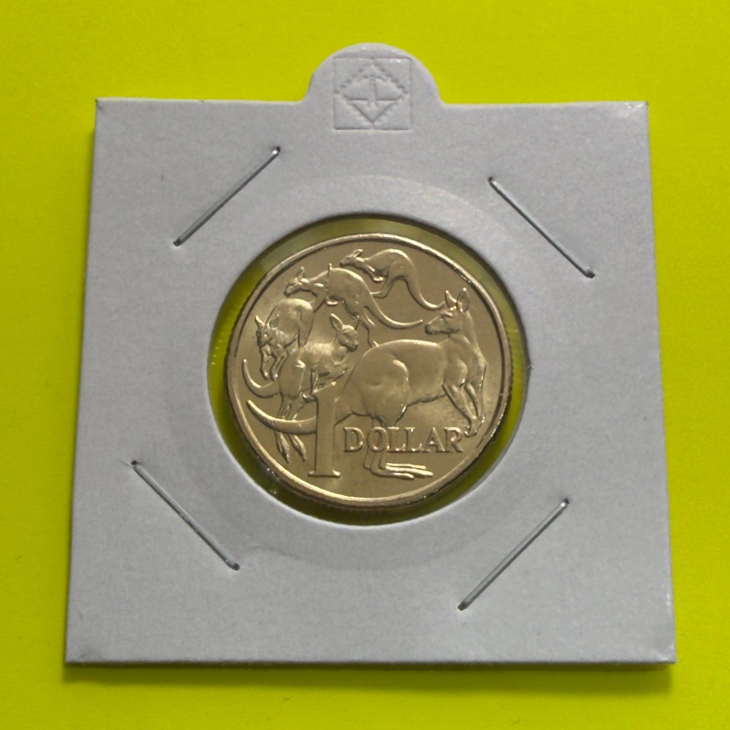 2019 $1 Coin - JC Effigy - Uncirculated - Mob of Roos - One Dollar - in 2x2