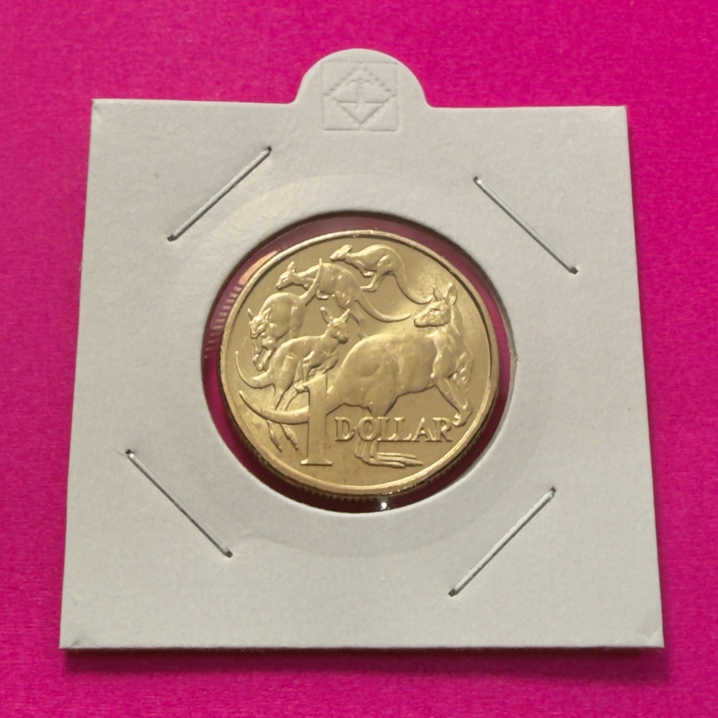 2019 $1 Coin - JC Effigy - Uncirculated - Mob of Roos - One Dollar - in 2x2