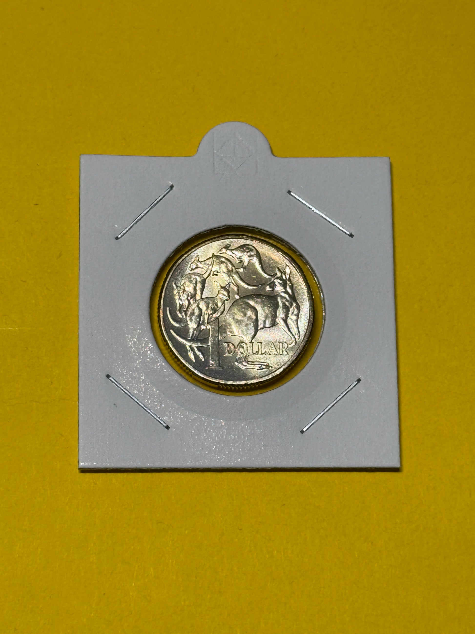 2025 $1 Mob of Roos Coin - Uncirculated - One Dollar - comes in 2x2 - New Age Numismatics