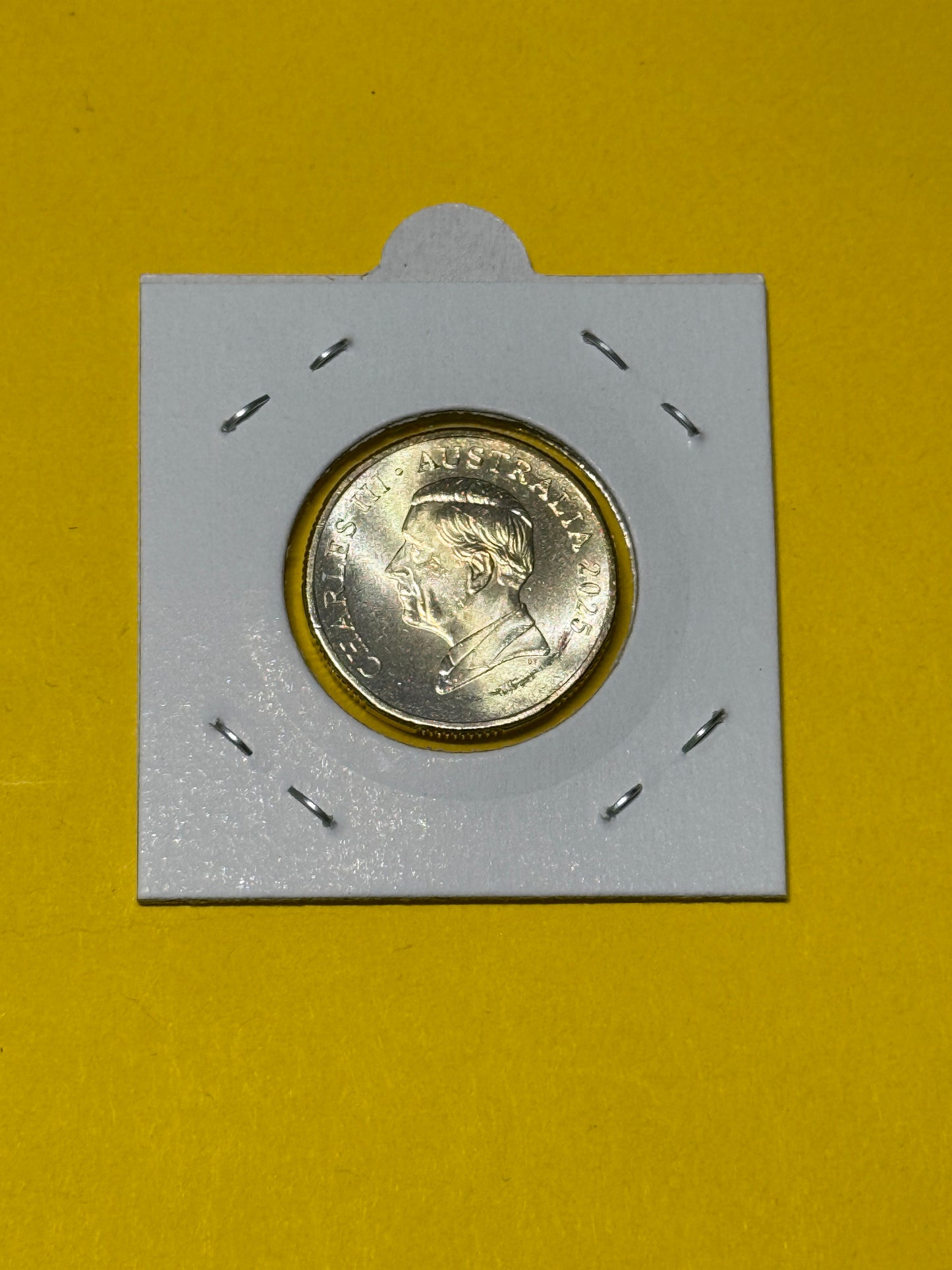 2025 $1 Mob of Roos Coin - Uncirculated - One Dollar - comes in 2x2 - New Age Numismatics