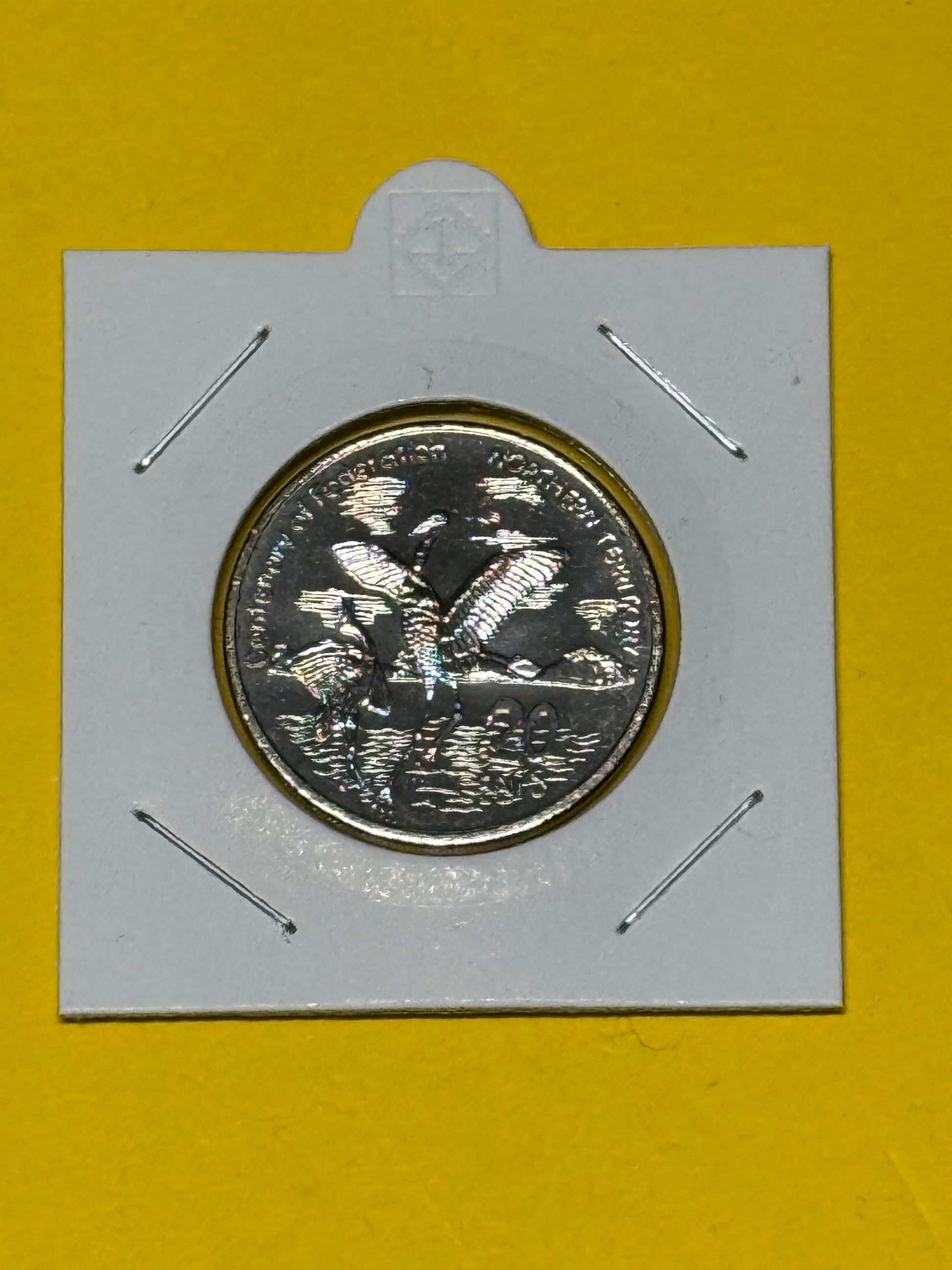 2001 20 Cent Coin - Centenary of Federation NT - Uncirculated - comes in 2x2 - New Age Numismatics