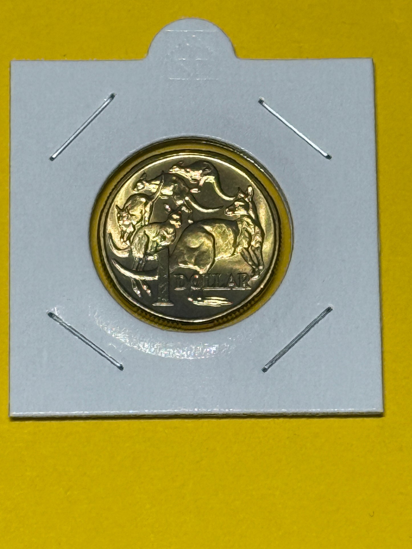 1995 $1 Coin - Choice Uncirculated - One Dollar - Ex MINT SET Coin - in 2x2 - New Age Numismatics