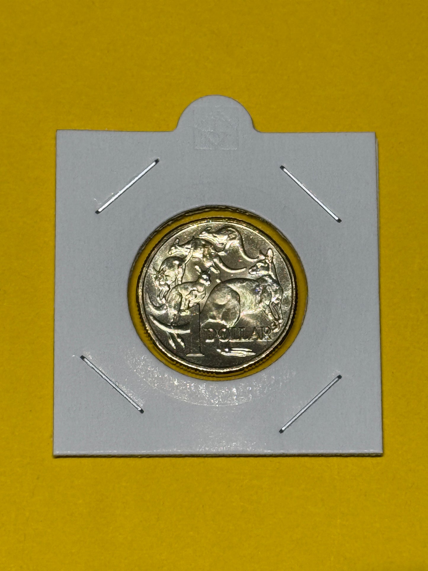 2024 $1 Coin - Uncirculated - ex premium roll - comes in 2x2 - New Age Numismatics