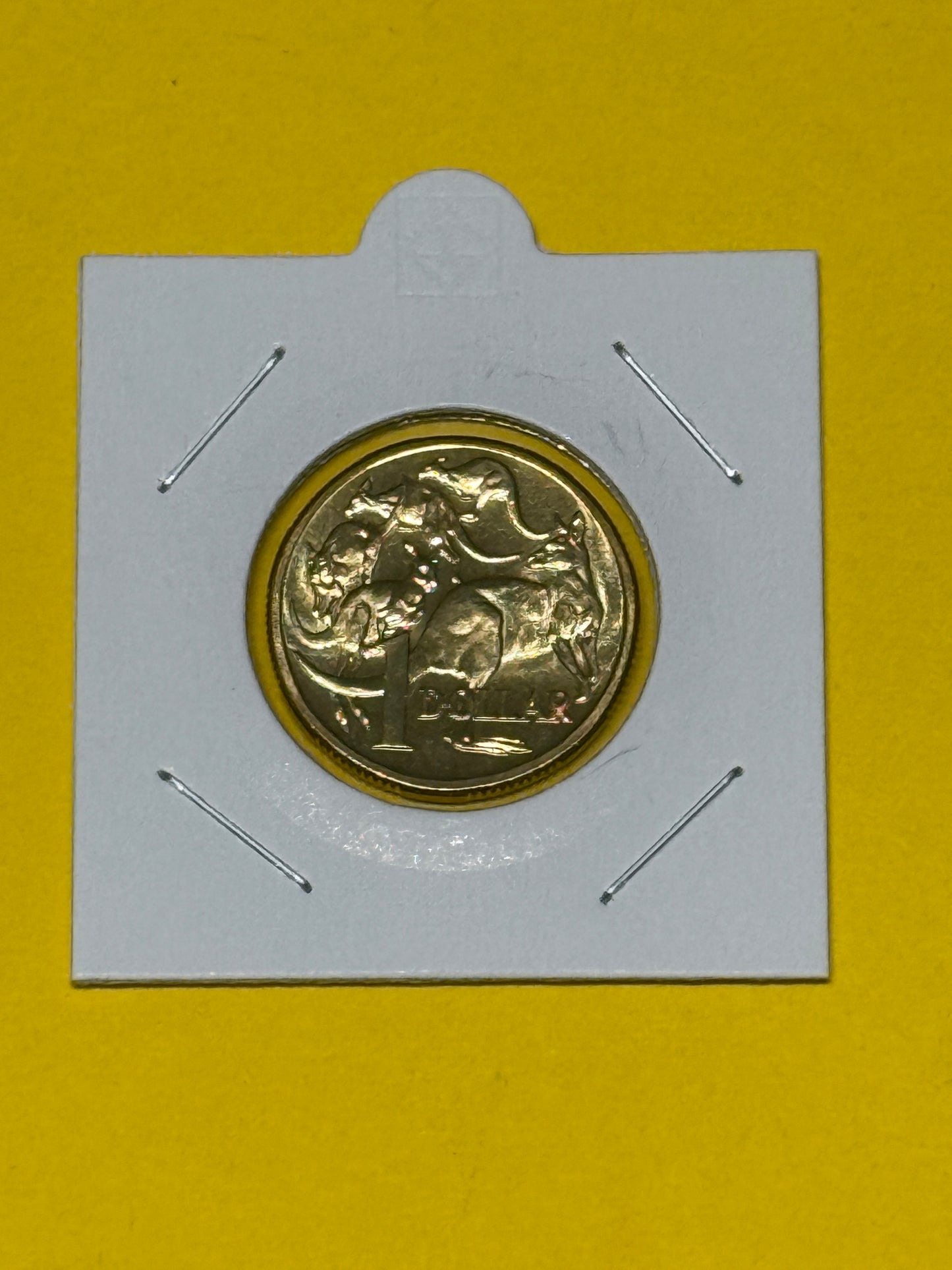 2005 $1 Coin - Mob of Roos - Uncirculated - comes in 2x2 - New Age Numismatics