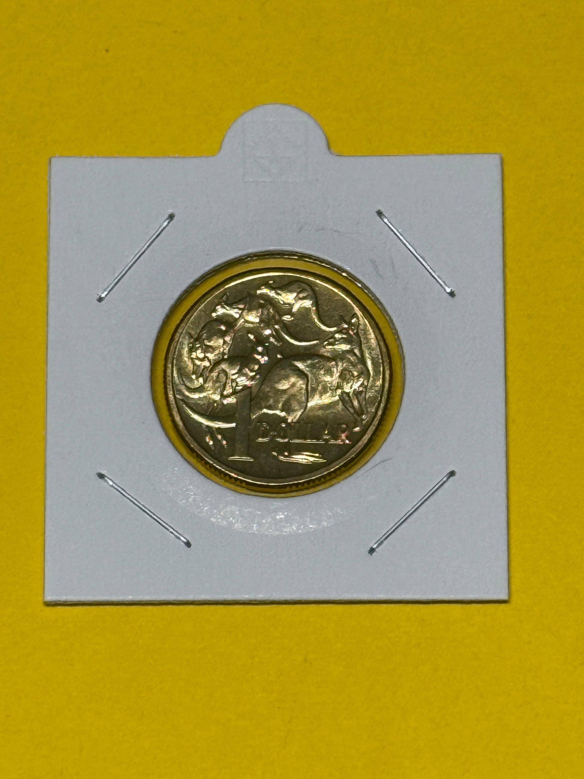 2005 $1 Coin - Mob of Roos - Uncirculated - comes in 2x2 - New Age Numismatics