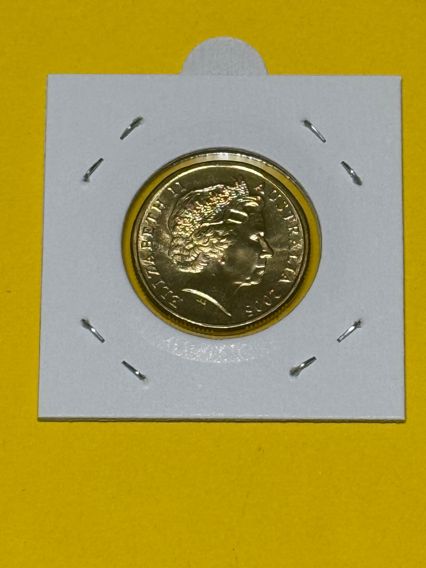 2005 $1 Coin - Mob of Roos - Uncirculated - comes in 2x2 - New Age Numismatics