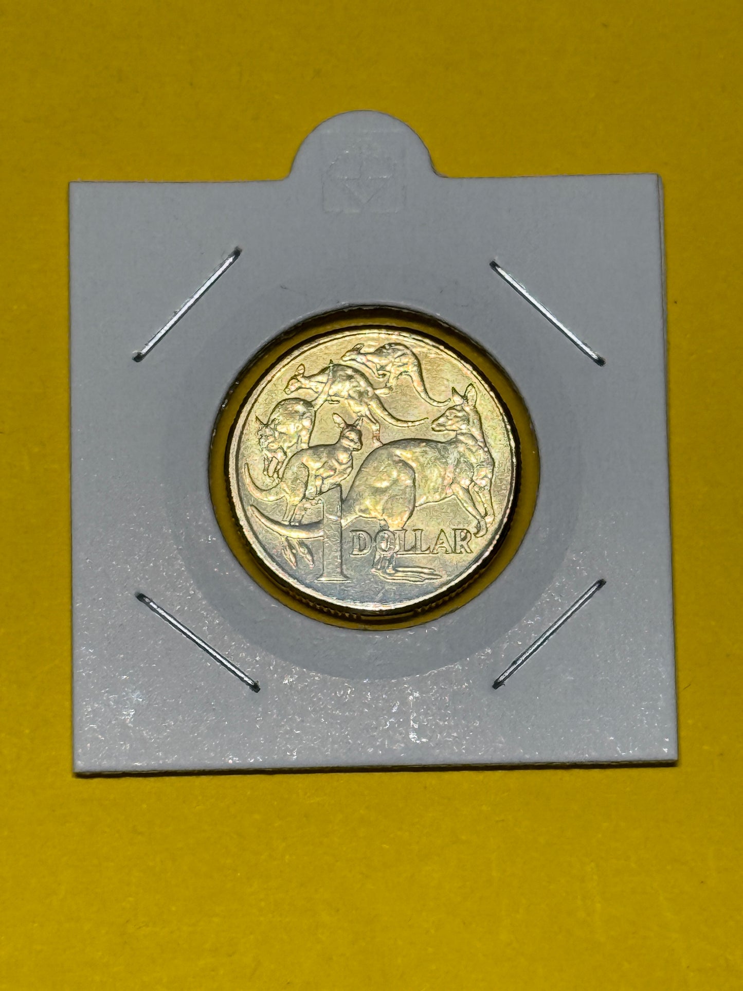 2016 $1 Coin - Uncirculated - Mob of Roos - Comes in 2x2 - New Age Numismatics
