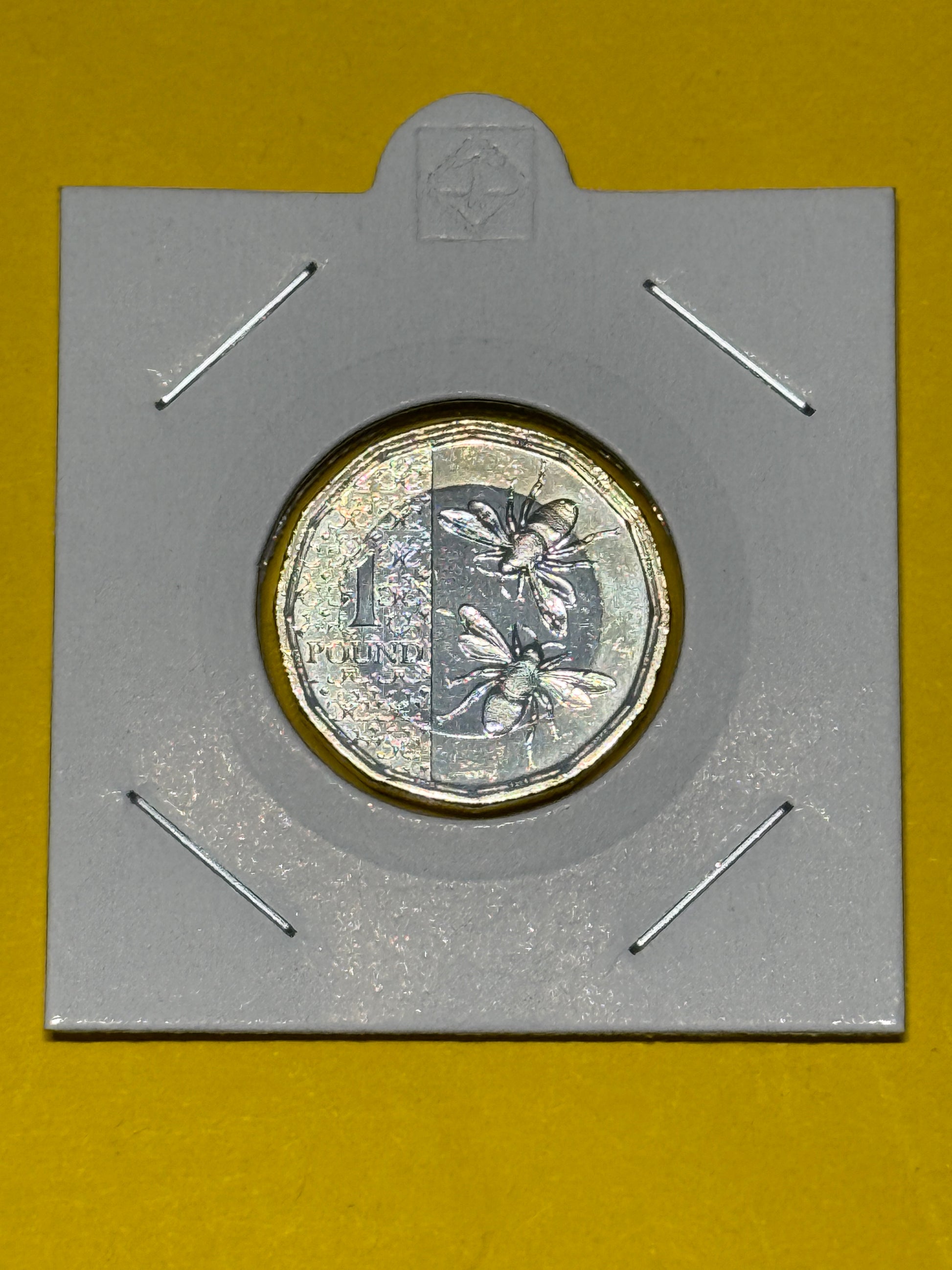 2025 £1 UK HoneyBee Coin - Uncirculated in 2x2 - New Age Numismatics