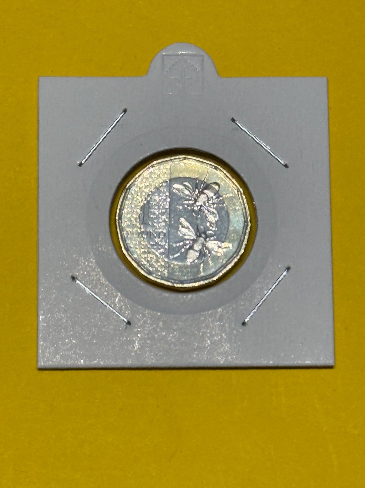 2023 £1 UK Honey Bee Coin - Uncirculated - One Pound - comes in 2x2 - New Age Numismatics
