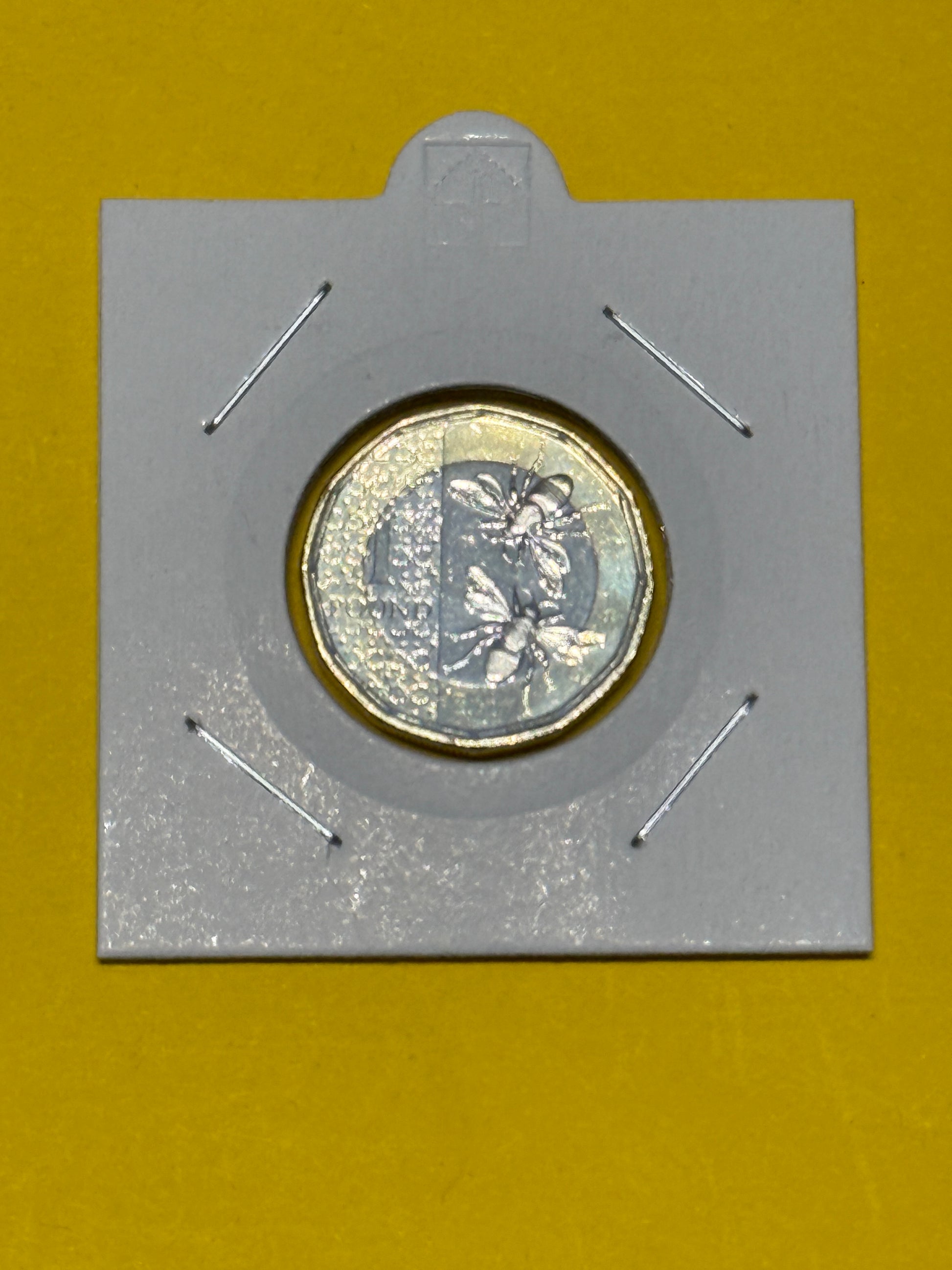 2023 £1 UK Honey Bee Coin - Uncirculated - One Pound - comes in 2x2 - New Age Numismatics
