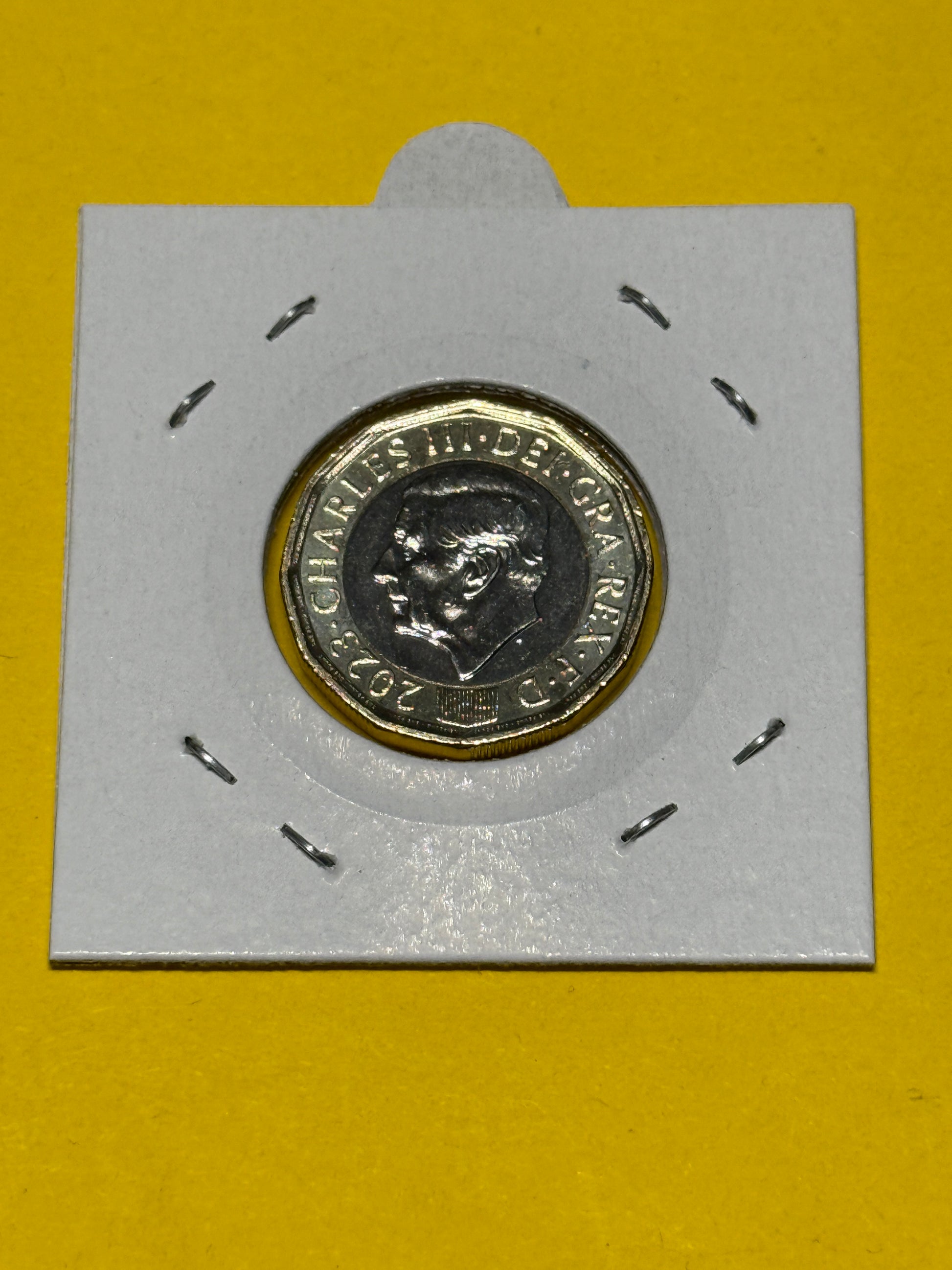 2023 £1 UK Honey Bee Coin - Uncirculated - One Pound - comes in 2x2 - New Age Numismatics