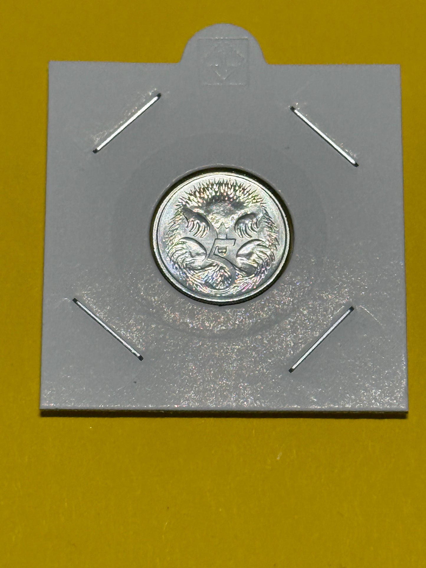 2024 5 Cent Coin - Queens Effigy - Choice Uncirculated - 100 k Mintage - in 2x2 - New Age Numismatics