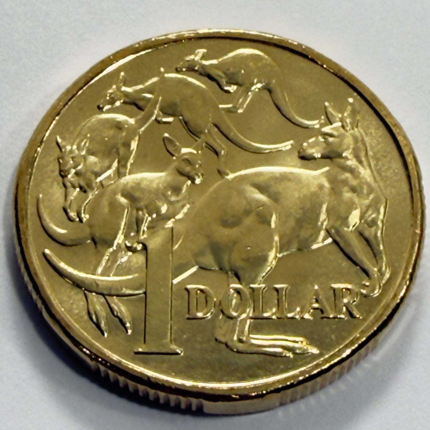 2024 $1 Coin - Uncirculated - One Dollar - ex premium roll - comes in 2x2