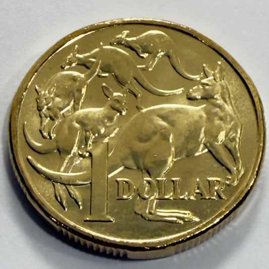 2024 $1 Coin - Uncirculated - One Dollar - ex premium roll - comes in 2x2
