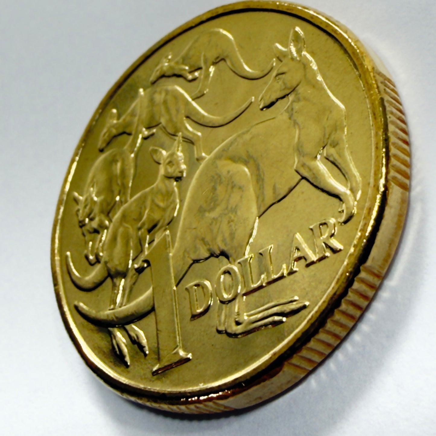 2024 $1 Coin - Uncirculated - One Dollar - ex premium roll - comes in 2x2