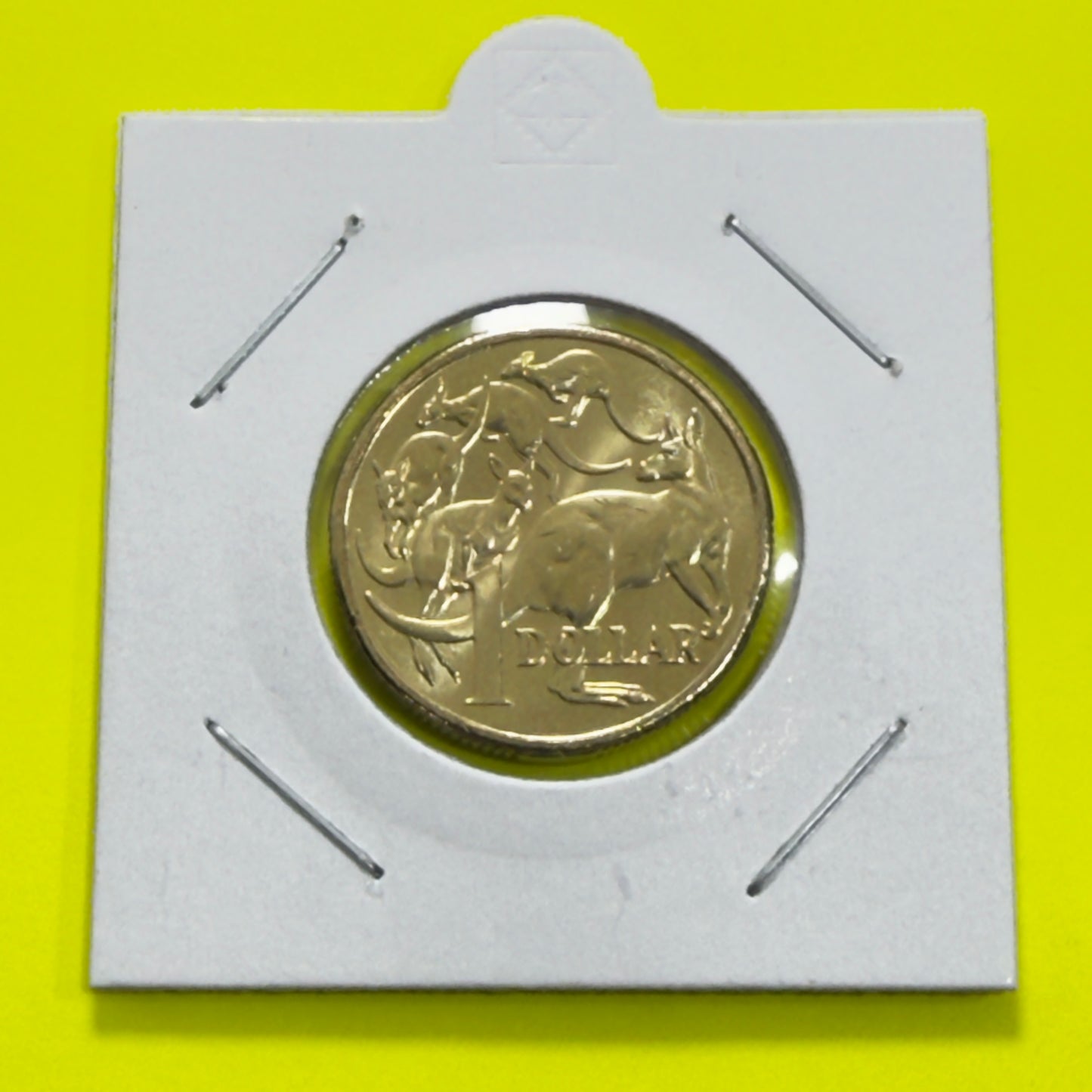 2024 $1 Coin - Uncirculated - One Dollar - ex premium roll - comes in 2x2
